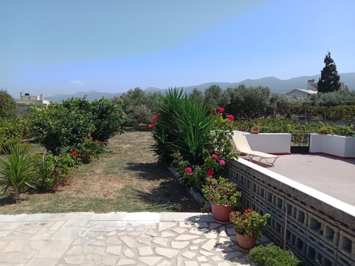 Villa Ampelia Sitia  Exterior photo