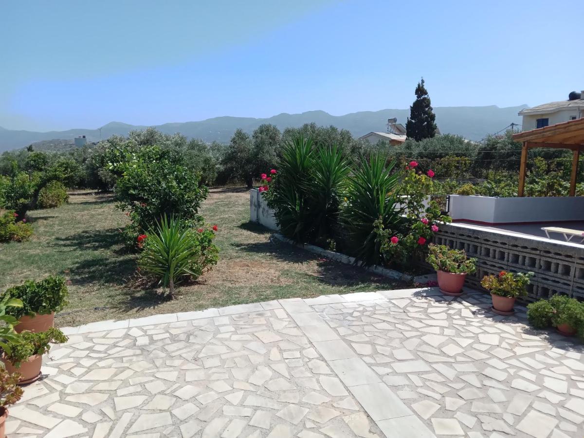 Villa Ampelia Sitia  Exterior photo